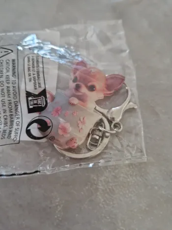 Chihuahua