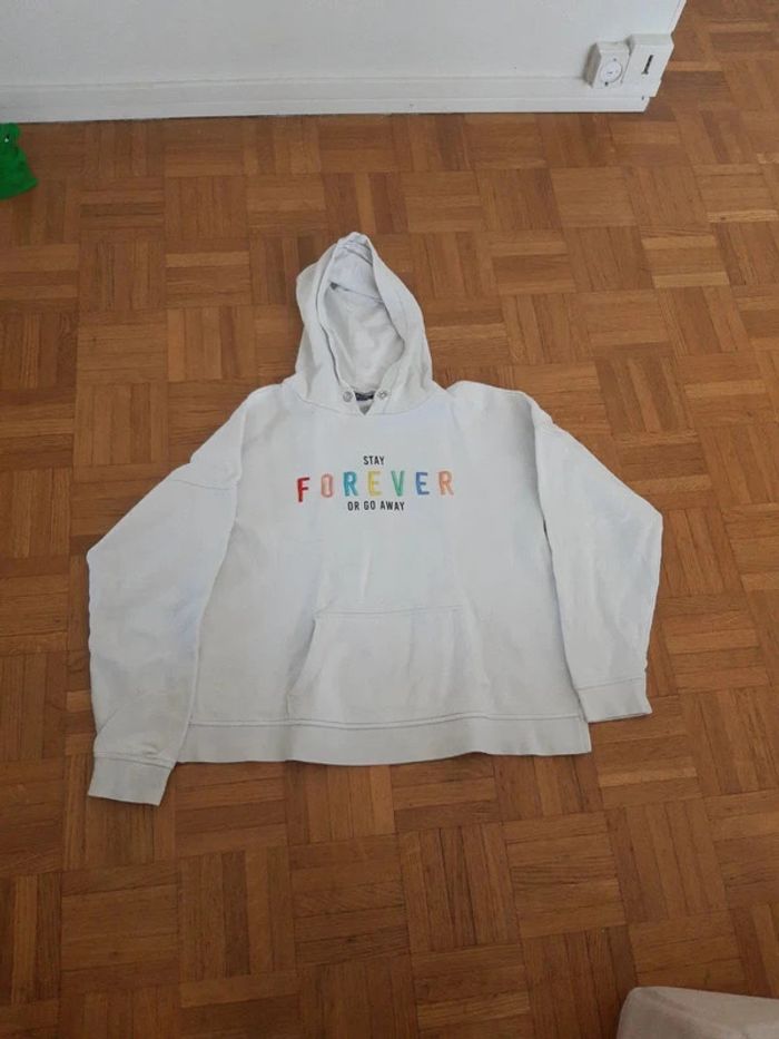 Pull sweat avec capuche 12 ans - photo numéro 2