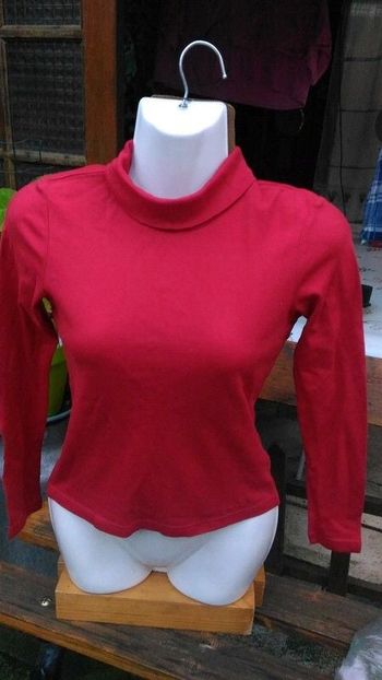pull col roulé