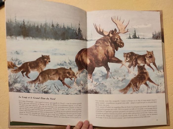 Livres animaux - photo numéro 3