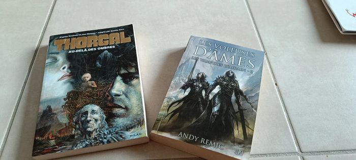 Lot 2 romans - photo numéro 6