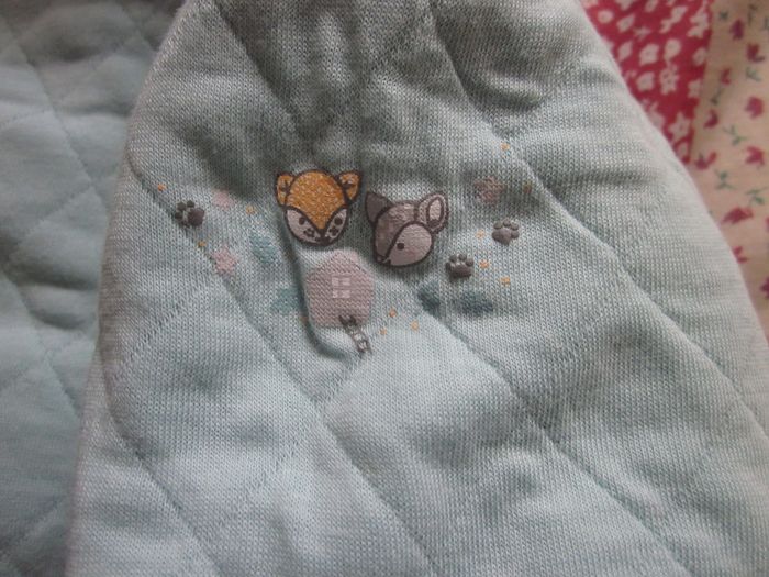 Veste à capuche chaude turquoise 6 mois - photo numéro 4