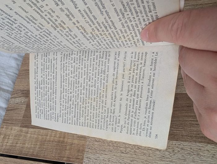 Lot livres le seigneur des anneaux - photo numéro 8