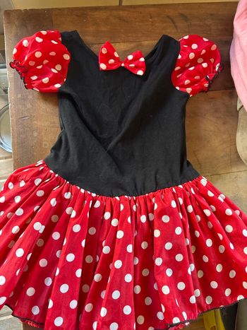 Robe Minnie 