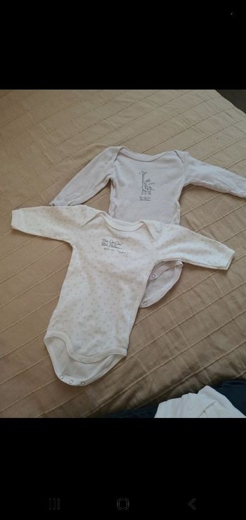 Bodies petit bateau