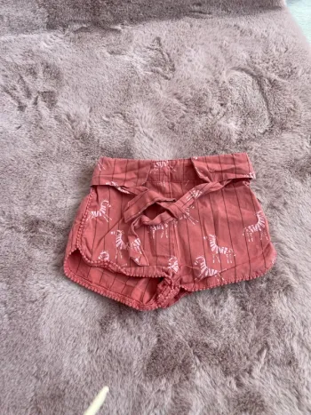 Short zèbre