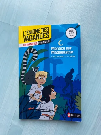 Livre l’énigme des vacances menace sur Madagascar