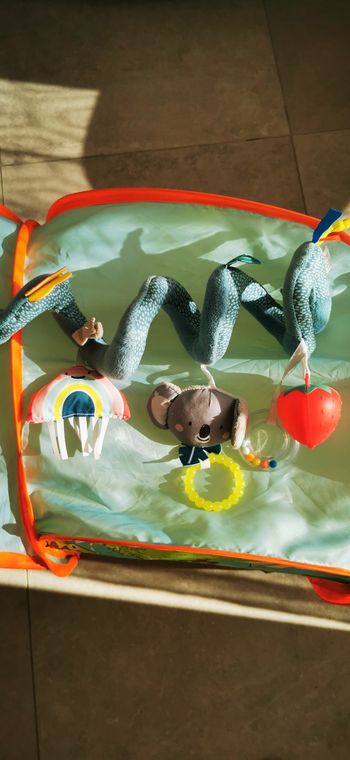 Arche jeux poussette Taftoys