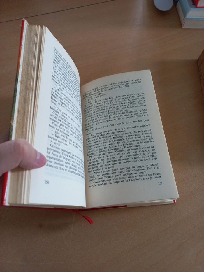 Pélagie-la-charette - photo numéro 4