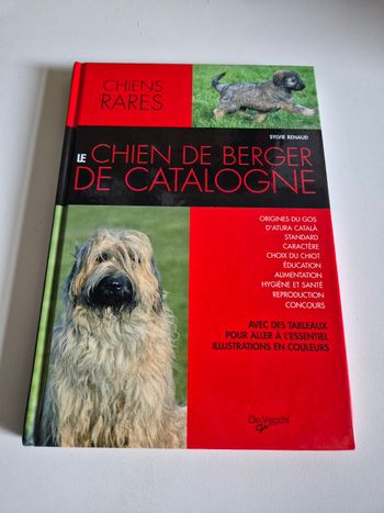 Le chien de berger de catalogne