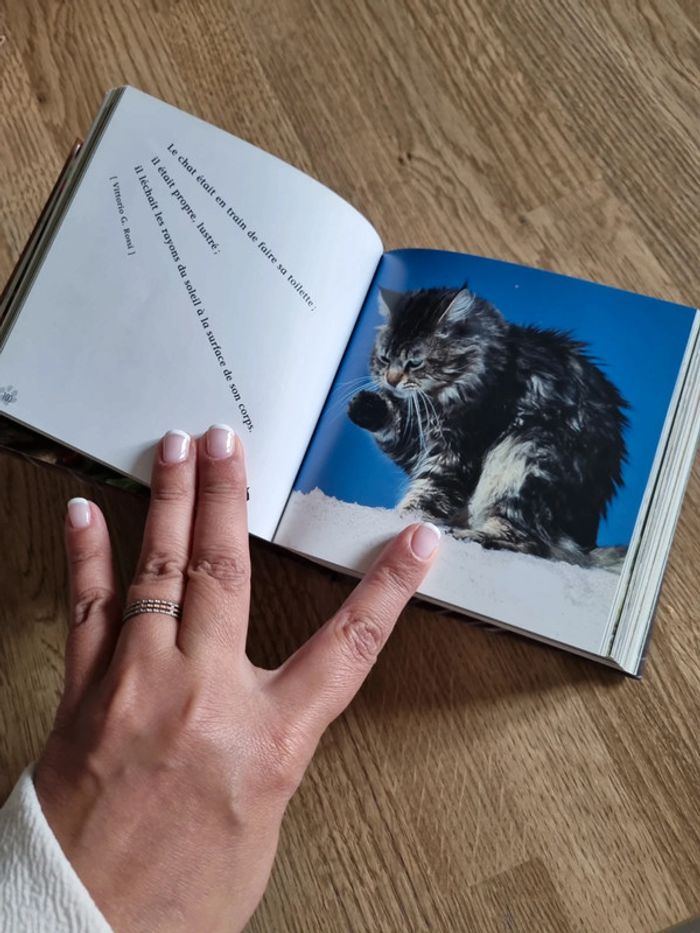 Livre Chats - photo numéro 4