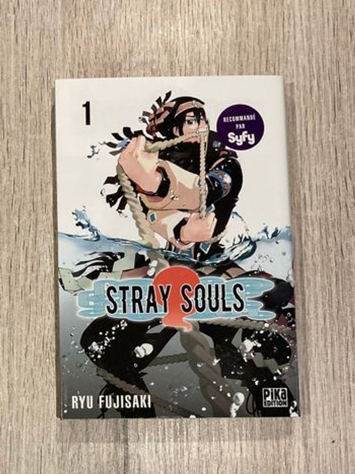 Stray Souls Tome 1