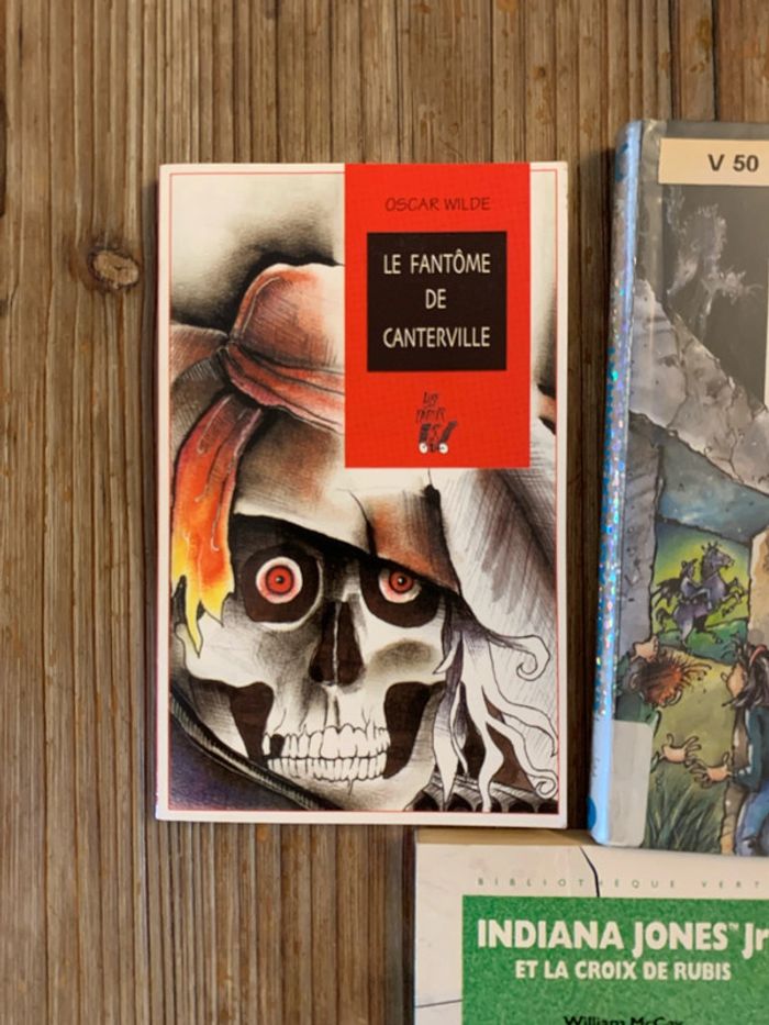 Lot 3 livres enfant 10 ans - photo numéro 2