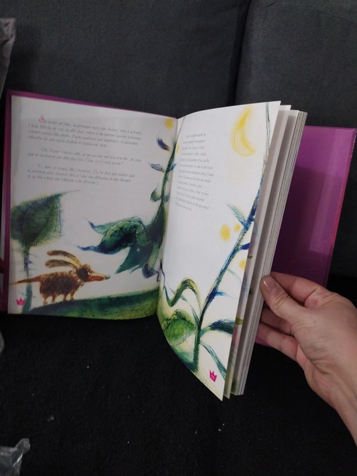 Livre - photo numéro 2