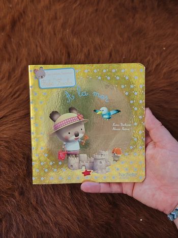 Livre bébé koala à la mer