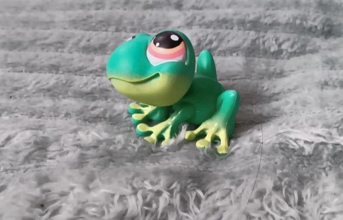 Petshop grenouille  236 - photo numéro 4