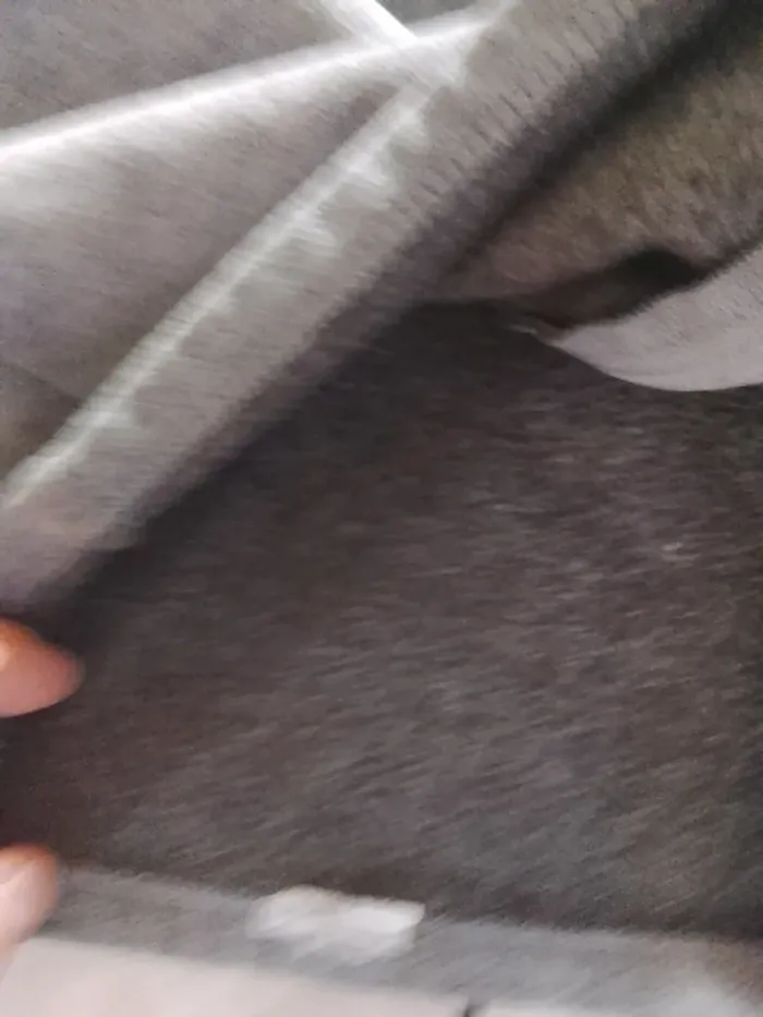 Veste 3 ans - photo numéro 5