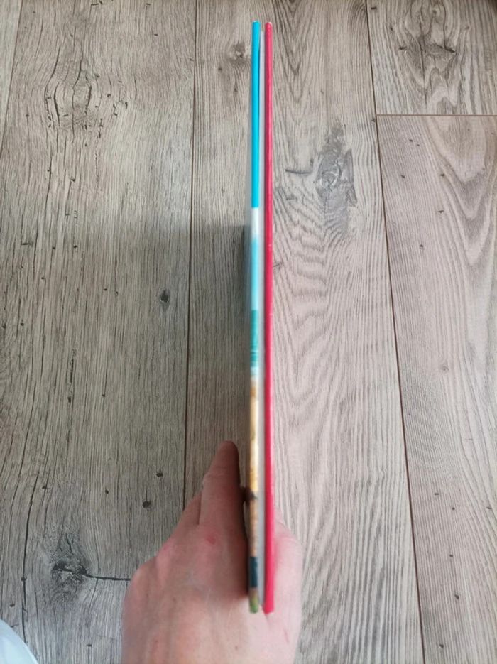 Joli livre instructif sur les pirates neuf - photo numéro 8