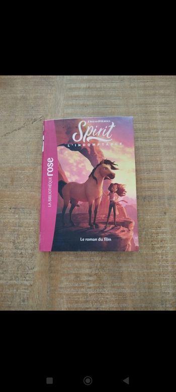 Spirit, l'indomptable