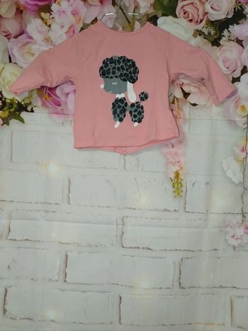 Pull rose chien 9mois