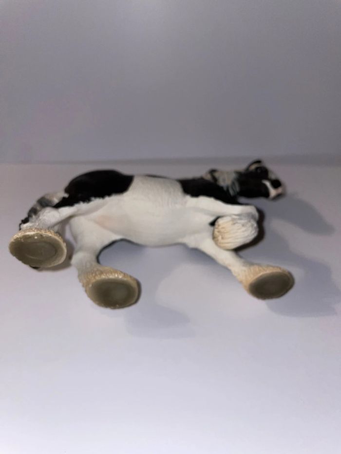 Cheval Tinker mare - photo numéro 3