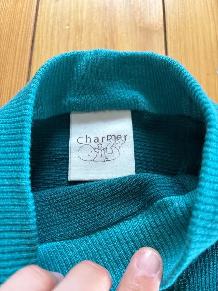 Longuie charmer - photo numéro 4