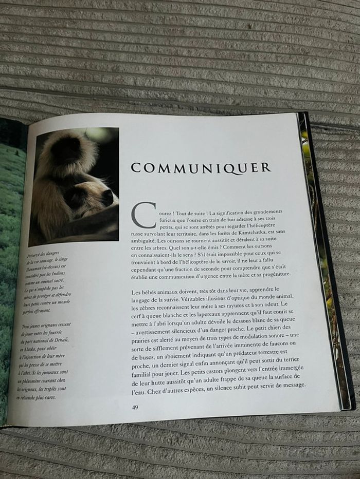 Le monde des bébés animaux - photo numéro 4