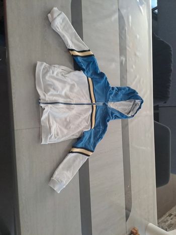 Veste a capuche