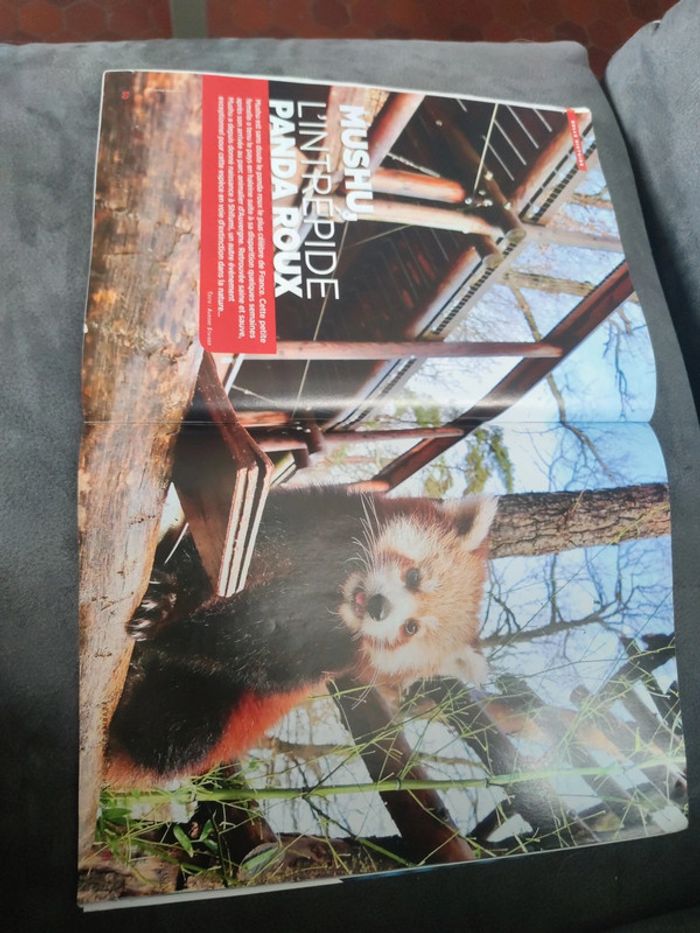 Magazine 30 millions d'amis numéro 381 février 2020 - photo numéro 11