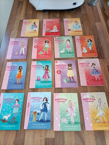Lot 15 livres Princesse Academy