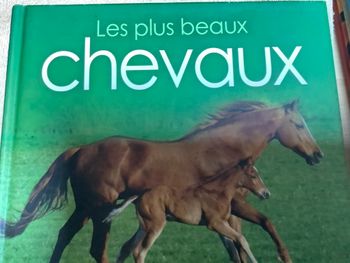 Cheval