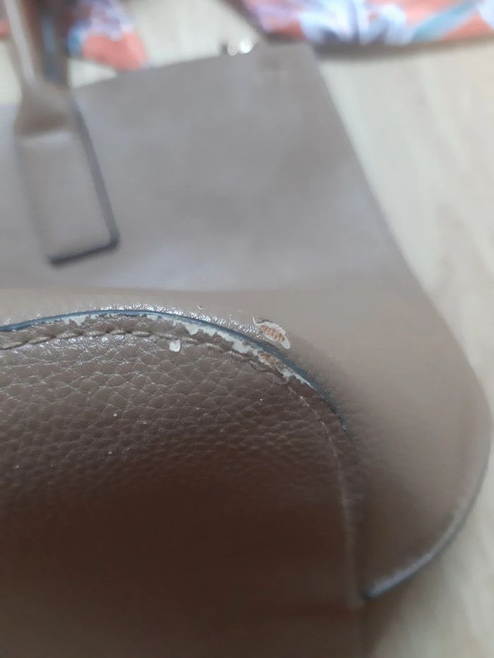 Magnifique sac à main beige H&M - photo numéro 9