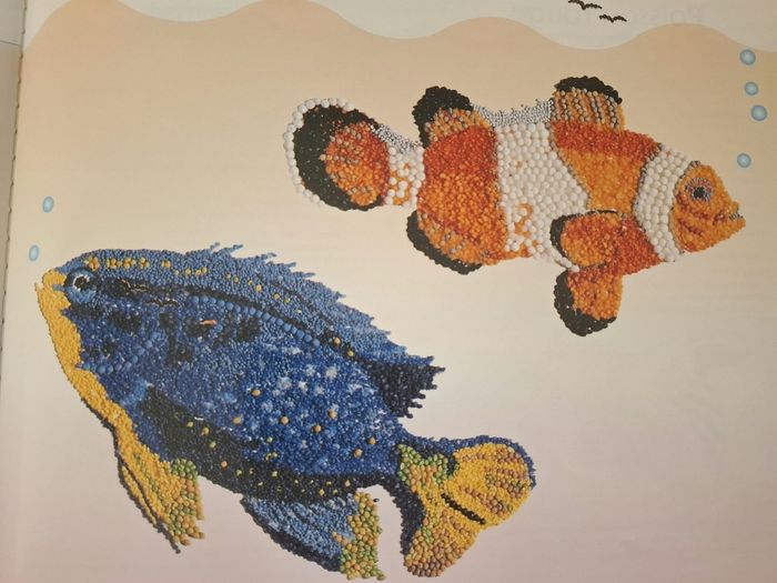 Créer avec des graines - La mer et les poissons - photo numéro 5