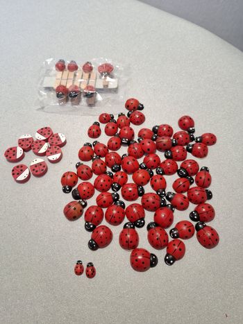 Joli lot mini pinces à linge et coccinelles en bois autocollantes neuf