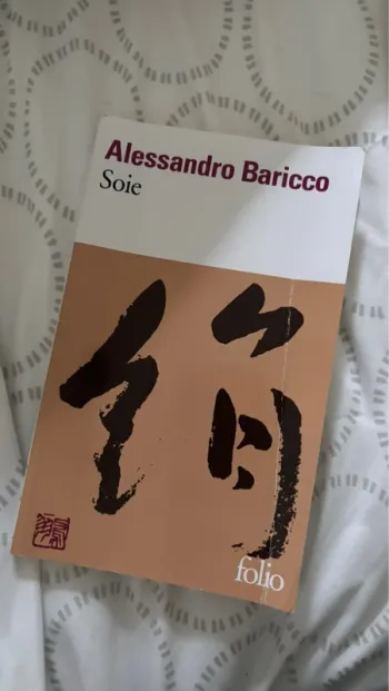 Alessandro baricco - soie