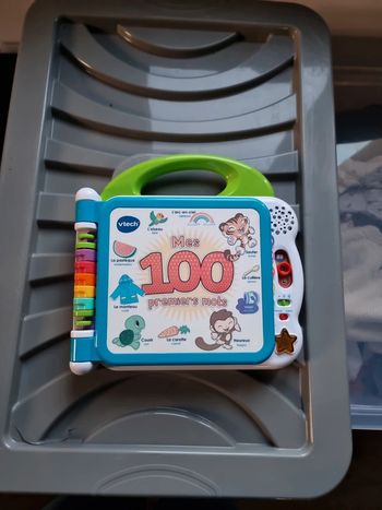 Mes 100 premiers mots - livre vtech