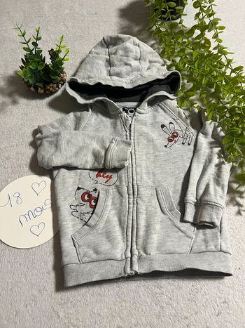 Très jolie veste à capuche petit garçon