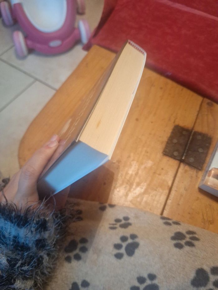 Livre roman pain - photo numéro 5