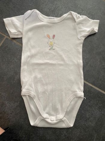 Body In Extenso Taille 74