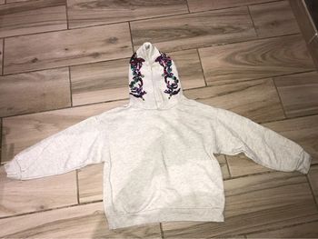 Pull à capuche gris zara 10 ans