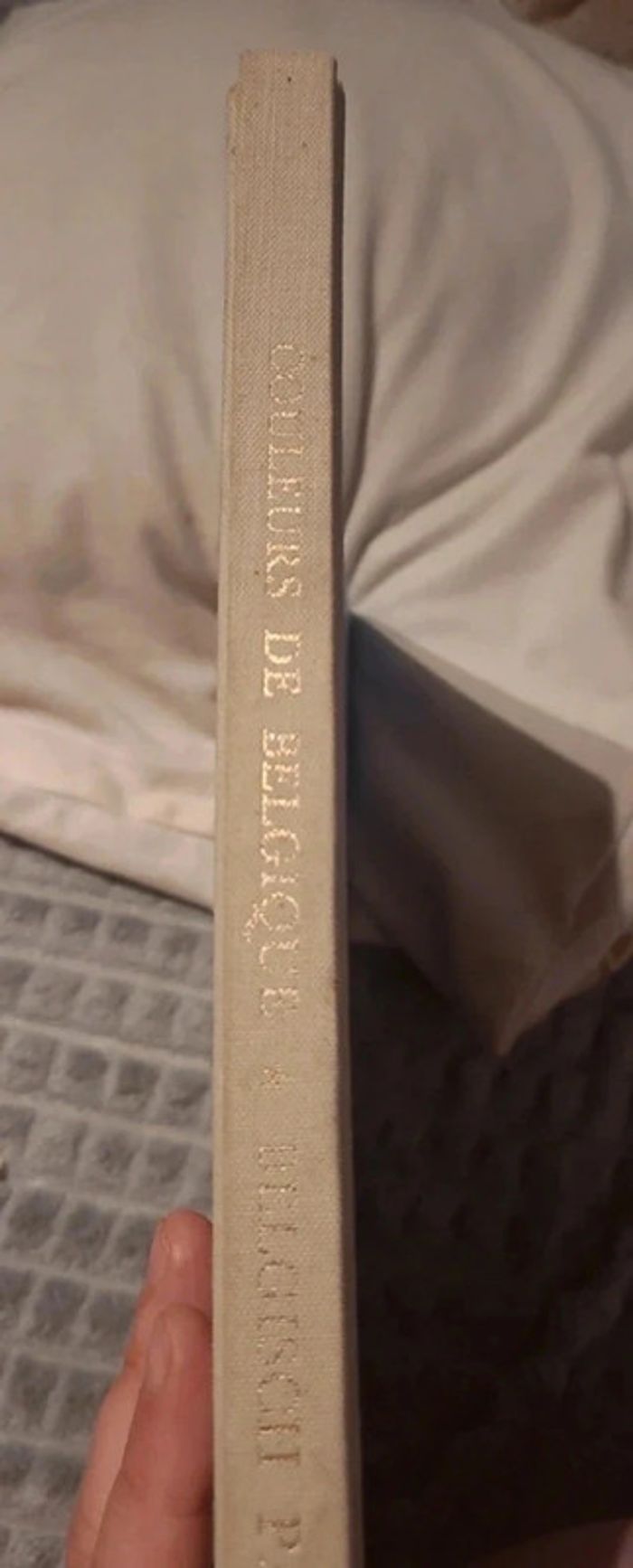 Couleurs de belgique - photo numéro 2