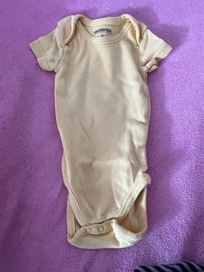 Lot de 16 bodys taille 6 mois - photo numéro 20