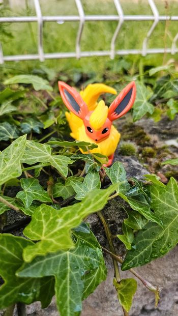 Super figurine Pokemon pyroli