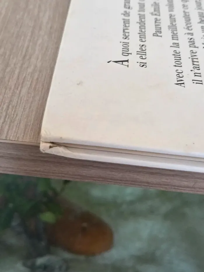 Livre ecoute Émile - photo numéro 5