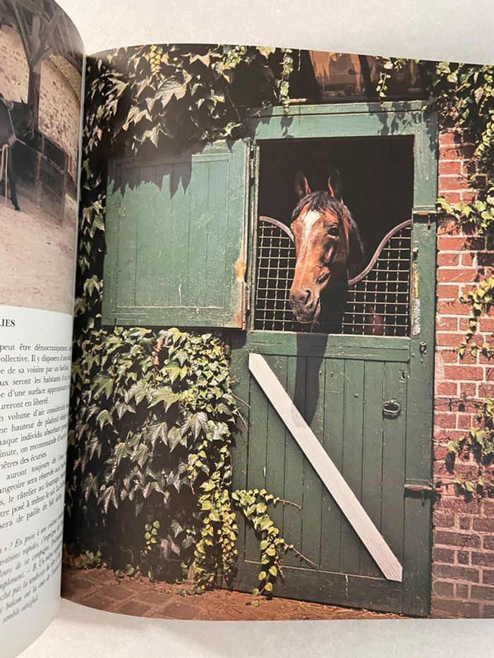 Le cheval et nous - photo numéro 2