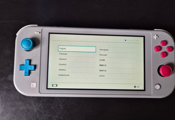 Nintendo Switch Lite Pokémon Zacian & Zamazenta loose