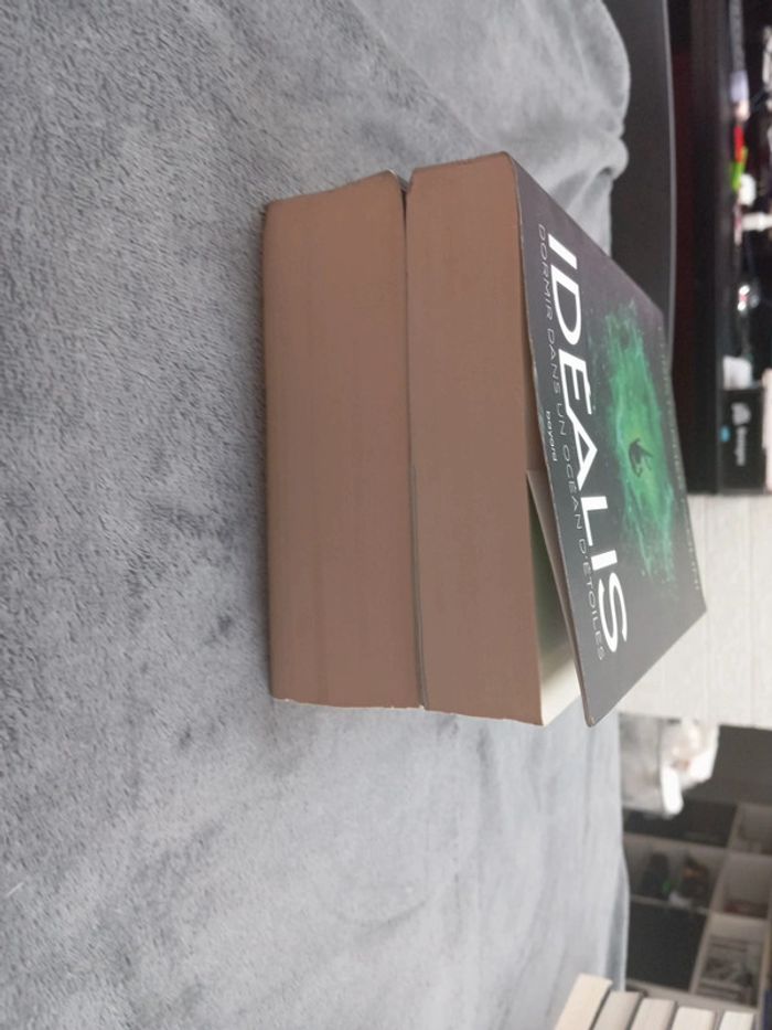 Idealis - photo numéro 3