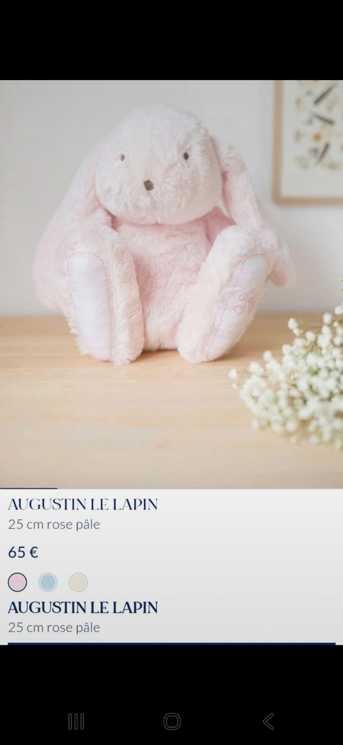 Augustin le lapin - photo numéro 4