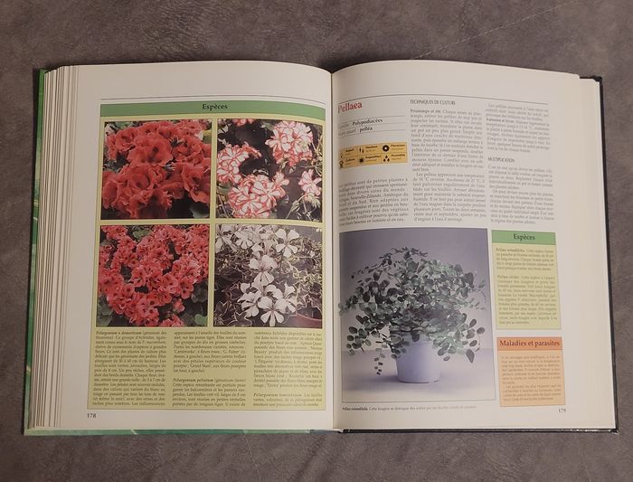 Atlas pratique des plantes d'intérieur - photo numéro 6