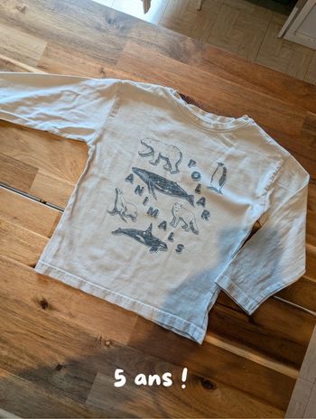 Tee-shirt Vertbaudet, 5 ans.